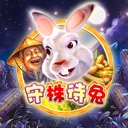 Www.yaxin338.net