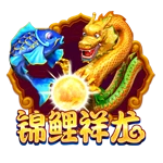 Www.yaxin55.com